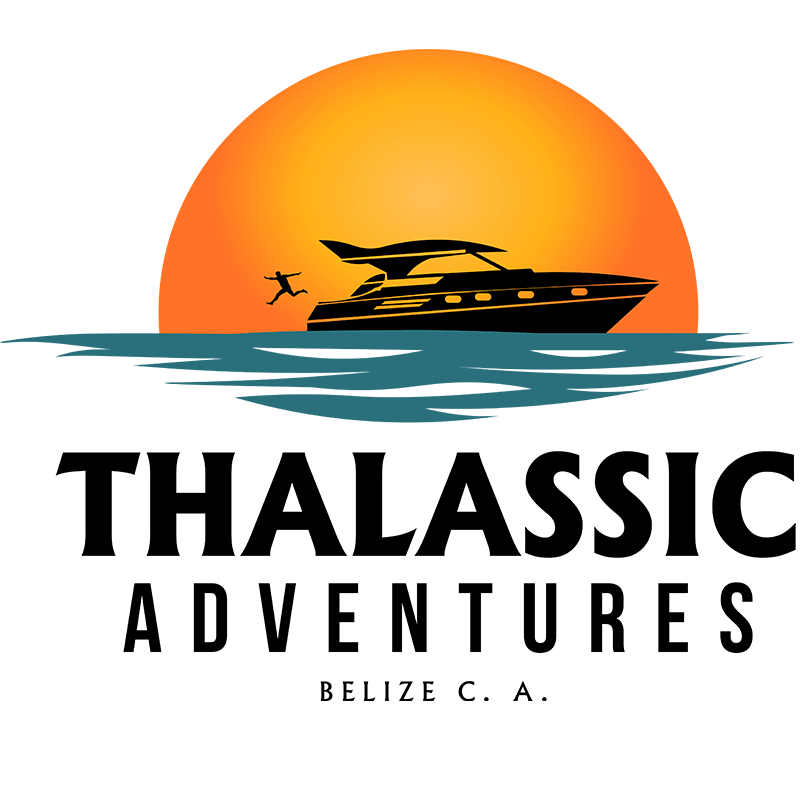 Licensed Tour Operator Logo